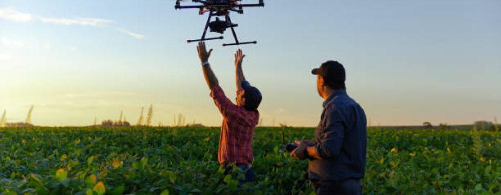 Drone no copyright in a soybean field,